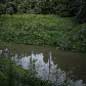 Cypress Creek