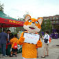  Houston Dynamo Game - August 2012